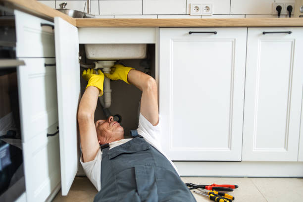 Best Residential Plumbing Services  in Westville, IN